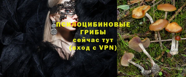 гидропоника Нефтекумск